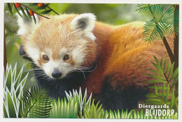 Postal Stationery Netherlands 2007 -  Panda Bear - ZOO Rotterdam / Diergaarde Blijdorp - Bears