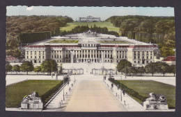 Postcard, Austria Vienna, Schönbrunn Castle - Schloss Schönbrunn