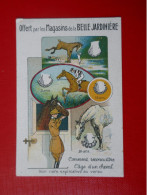 RARE  Chromo Offert Par Les Magasins De La Belle Jardinière  Magie Astuce Comment Reconnaître L'âge D'un Cheval - Andere & Zonder Classificatie