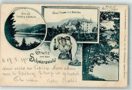 13275884 - Titisee Titisee-Neustadt - Titisee-Neustadt