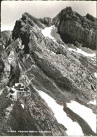 Tierwies  Ungelaufen Ca. 1965 - Sonstige & Ohne Zuordnung