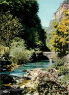 01 - Ain - L'Albarine Aux Environs De Tenay - Hauteville - CPM - Voir Scans Recto-Verso - Ohne Zuordnung