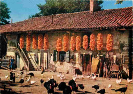 01 - Ain - Bresse - Ferme Bressane - Carte Dentelée - CPSM Grand Format - Voir Scans Recto-Verso - Ohne Zuordnung