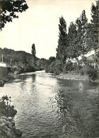 64 - Sare - La Nivelle - CPSM Grand Format - Voir Scans Recto-Verso - Sare