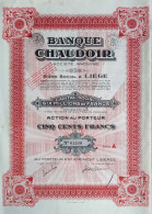 Banque Chaudoir - Liège -  1927 - Action Au Porteur De 100 Francs - Bank & Insurance