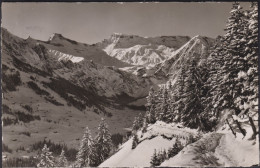 Adelboden Hörnliweg-Steghorn-Wildstrubel-Fizer Im Winter - Adelboden
