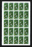 91793 Nouvelle Caledonie N°165 Fleurs Fleur Flower Orchidées Orchids Non Dentelé Imperf ** MNH Feuille Sheet - Orchids