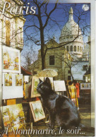 75 Paris (chat Ville) - Katzen