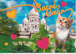 75 Sacré Coeur (chat Ville) - Katzen