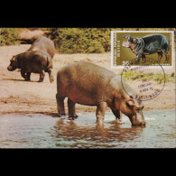 BENIN 1976 - Maximum Cards - 364 Wildlife-Hippo 50f - Benin – Dahomey (1960-...)
