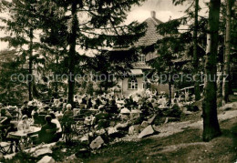 Wernigerode Harz Berggasthaus Armeleuteberg - Wernigerode