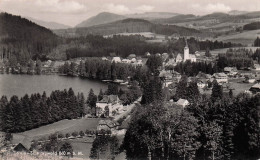 ALLEMAGNE TITISEE NEUSTADT TITISEE - Titisee-Neustadt