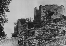 38 CREMIEU CHATEAU DELPHINAL - Crémieu