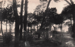 6 JUAN LES PINS LA PINEDE - Juan-les-Pins