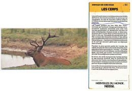 Image, Fiche Illustrée, Photo MERVEILLES DU MONDE De Nestlé N° 80 Animaux De Chez Nous LES CERFS - Tiere