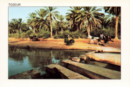 TUNISIE - Tozeur - Partage Des Eaux - Pont - Radeau - Chars - Chevaux - Transports - Plamiers - Animé - Carte Postale - Tunesien