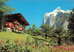 SUISSE - Grindelwald - Wetterhorn - Berner Oberland - 73 5 - Helvetia - Architecture Traditionnelle - Carte Postale - Grindelwald