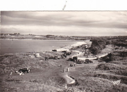 LOCQUIREC  -  FINISTERE   -   (29)  -  CPSM   DENTELEE   ANIMEE  DE  1958  -  BEL AFFRANCHISSEMENT POSTAL. - Locquirec