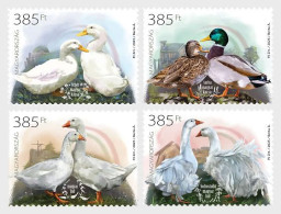 Hungary 2025 Birds Indigenous Hungarian Poultry Breeds IV 6v MNH - Geese