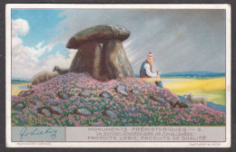 132088/ *Monuments Préhistoriques*, Chromo N° 5 - Liebig