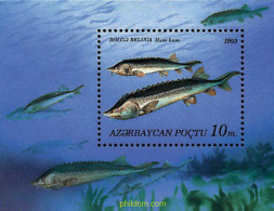 83830 MNH AZERBAIYAN 1993 PECES - Azerbeidzjan