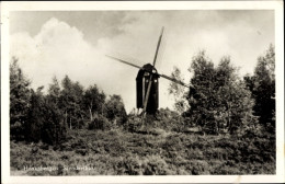 CPA Haaksbergen Overijssel, Stenderkust, Molen - Windmühlen