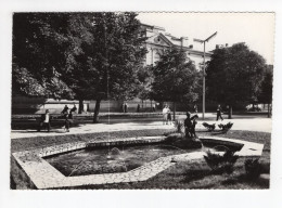 1965. YUGOSLAVIA,SERBIA,ZAJECAR,POSTCARD,USED - Yugoslavia