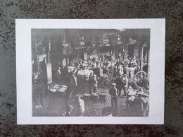 Repro Foto Vismijn Oostende - Europe