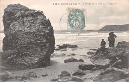 29-LA POINTE DU RAZ-N°T1204-G/0379 - La Pointe Du Raz