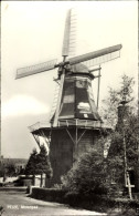 CPA Peize Drenthe, Molenpad - Windmühlen