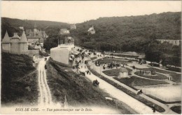 CPA BOIS-de-CISE Vue Panoramique Sur Le Bois (807142) - Bois-de-Cise