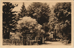 CPA BOIS-de-CISE Route Descendant (19151) - Bois-de-Cise