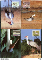 A51349)WWF-Maximumkarten Vogel: Malawi 477 - 480 - Maximumkaarten