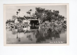 Indochine Viet Nam Tonkin Hanoï Lac Bay Mau TB - Vietnam