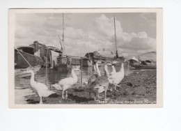 Indochine Viet Nam Tonkin Hanoï Au Bord Du Fleuve Rouge OIES TB - Vietnam