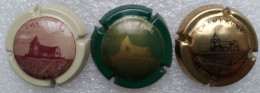 3 Capsules De Champagne Chavot Courcourt - Other & Unclassified