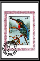 Sharjah - 2032d/ N°1181 River Kingfisher Alcedininae Martin Pêcheur Oiseaux (bird Birds Oiseau) Miniature Sheet Used - Climbing Birds