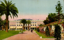 CPA Nice Les Jardins Albert Au Fond Le Casino Municipal - Parks, Gärten