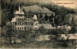 T2/T3 1917 Topánfalva, Topersdorf, Campeni; Schlessel és Walter-féle Kastély. Csiky Testvérek Kiadása / Castle Villa (EK - Unclassified