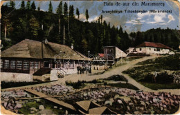 * T3 Tótosbánya, Totos (Budfalva, Budesti, Máramaros); Aranybánya. Berger Miksa Utóda Kiadása / Gold Mine (EK) - Unclassified