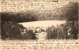* T3 1901 Tusnádfürdő, Baile Tusnad; Szent Anna Tó. Adler Alfréd Fényképész / Lake (EB) - Unclassified