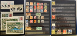 Deutschland: Einsteckalbum Beginnend Mit Zwei Blöcken Der Bi-Zone, Zwei Beethoven-Blöcke BRD, Ungezähnte Werte Generalgo - Collections