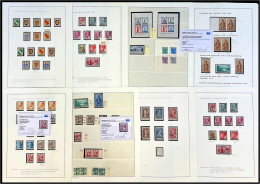 Französische Zone 1945-1949 **/gest.: Postfrische Spezialsammlung Auf Leuchtturm-Vordruckblättern, Augenscheinlich Mit A - Collections