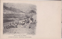 Delcampe - Carte Postale  Bolivie De La Paz Al Beni  Al Salir De Sorata Cordillera De Los Andes Réf 35615 - Bolivien