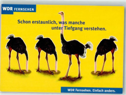 39598174 - WDR Fernsehen Strauss - Werbepostkarten