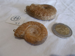 FRANCE.AMMONITES.MAINE ET LOIRE.CALLOVIEN.OXFORDIEN.AVEC ANNEAU POUR CORDON.PENDENTIF POSSIBLE. - Fossiles