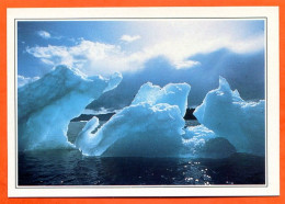 USA ALASKA Baie Le Conte Sculptures De Glace - Géographie