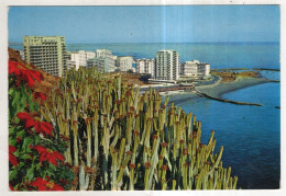 Delcampe - AK 243049 SPAIN - Tenerife - Puerto De La Cruz - Panoramic View - Tenerife