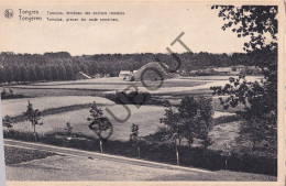 Postkaart - Carte Postale - Tongeren Tumulus (C7163) - Tongeren