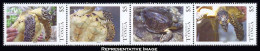 Tonga Scott 1198 Mint Never Hinged. - Tonga (1970-...)